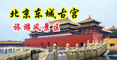 亚洲巨乳美女娇喘中国北京-东城古宫旅游风景区